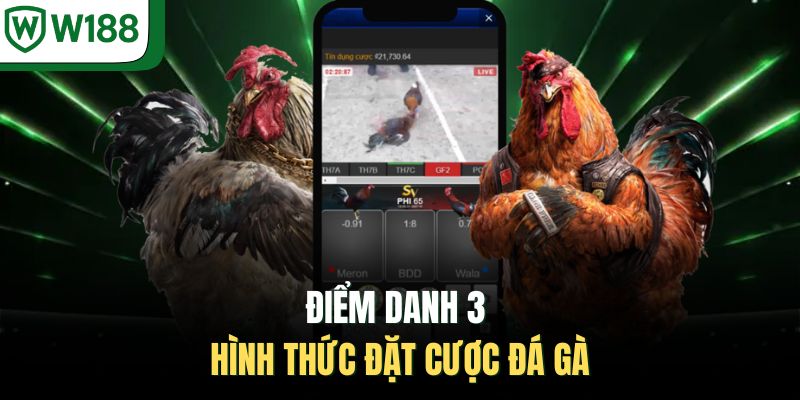 Điểm danh 3 hình thức đặt cược đá gà
