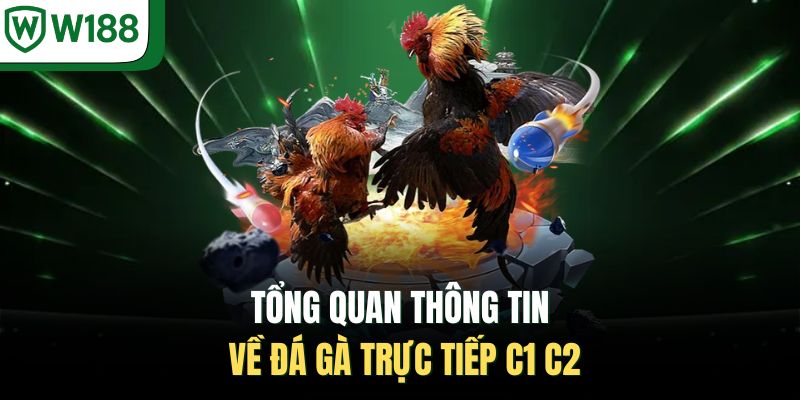 Tổng quan thông tin về đá gà trực tiếp C1 C2